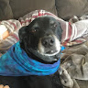 Meet your Posher, Christopher